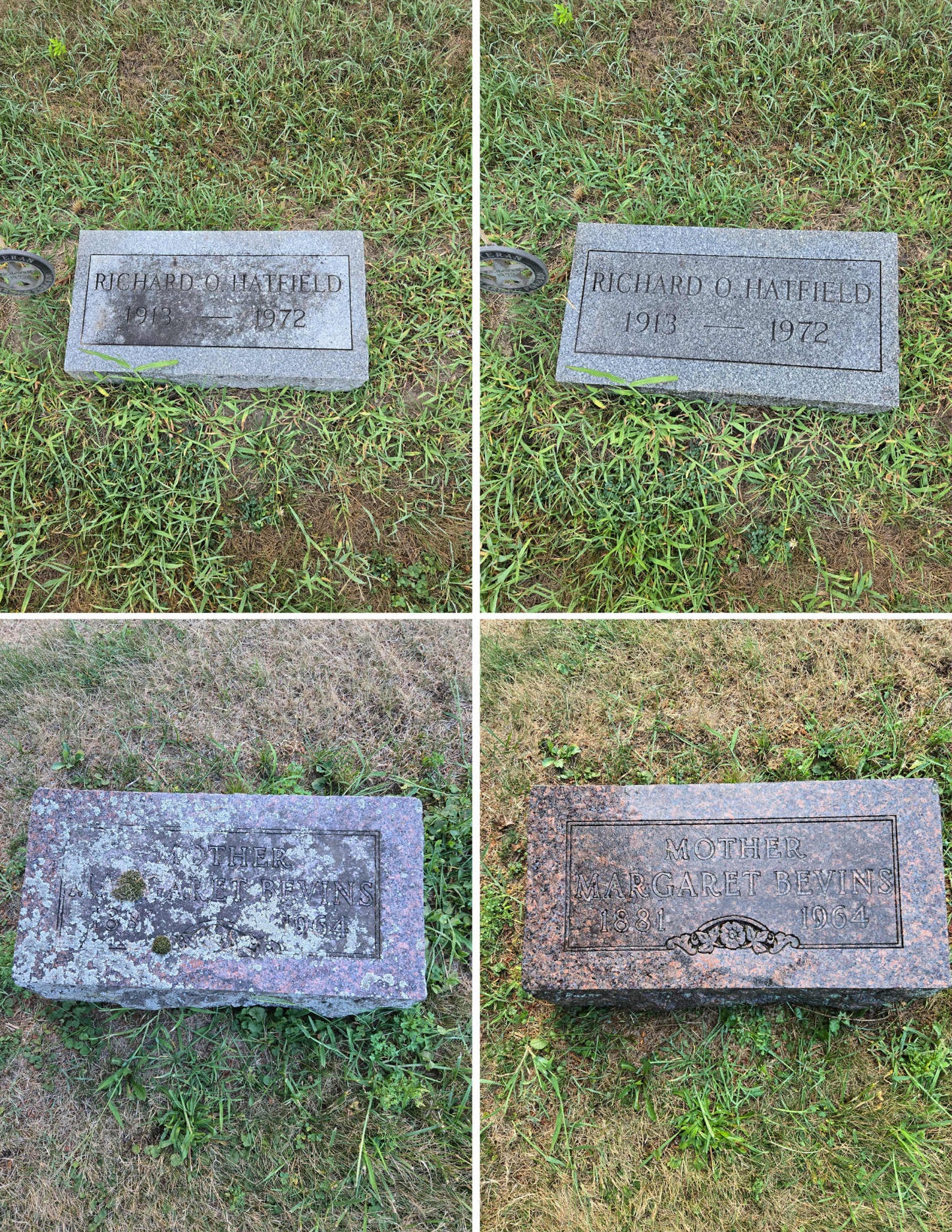 Eleven11 Biological Solution Headstone Cleaner (32fl oz - Makes 1 gal) w/ Spray Bottle